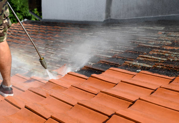 Best Residential Pressure Washing Services  in Sanger, TX